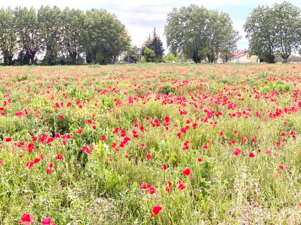 Et Maisonnette Provencales *