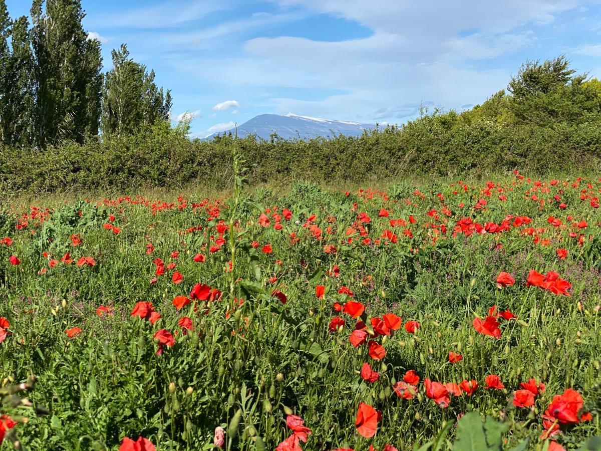 Et Maisonnette Provencales